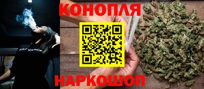 гидра Краснознаменск