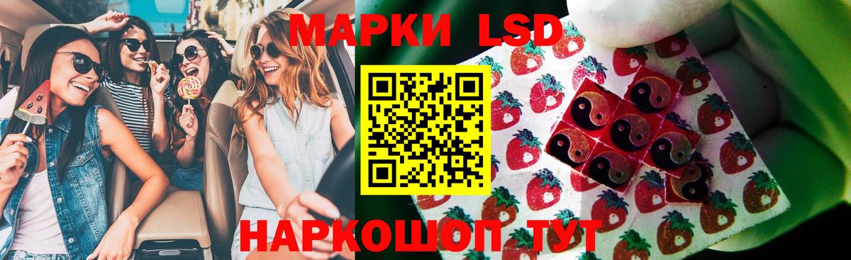 Лсд 25 экстази ecstasy      Вход с VPN  Шумерля  Лсд 25 экстази ecstasy 