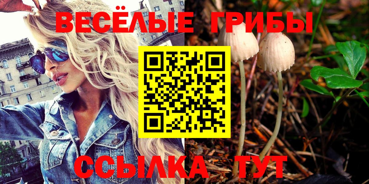 как найти закладки  Вход с VPN  Шумерля  Галлюциногенные грибы Magic Shrooms  Псилоцибиновые грибы MAGIC MUSHROOMS 